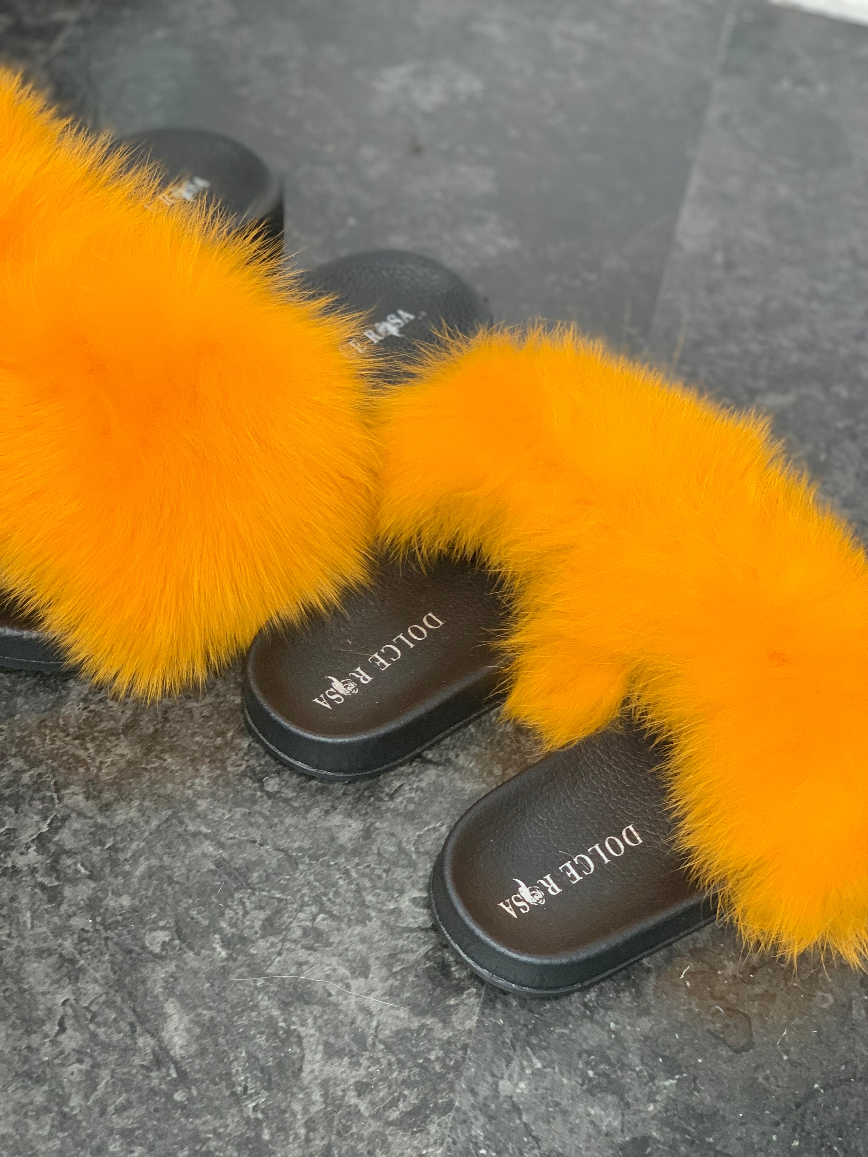 Mommy and Me slides- Cosmos