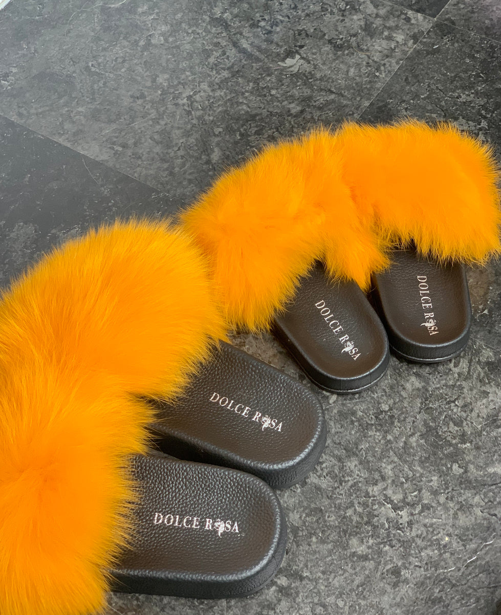 Mommy and Me slides- Cosmos