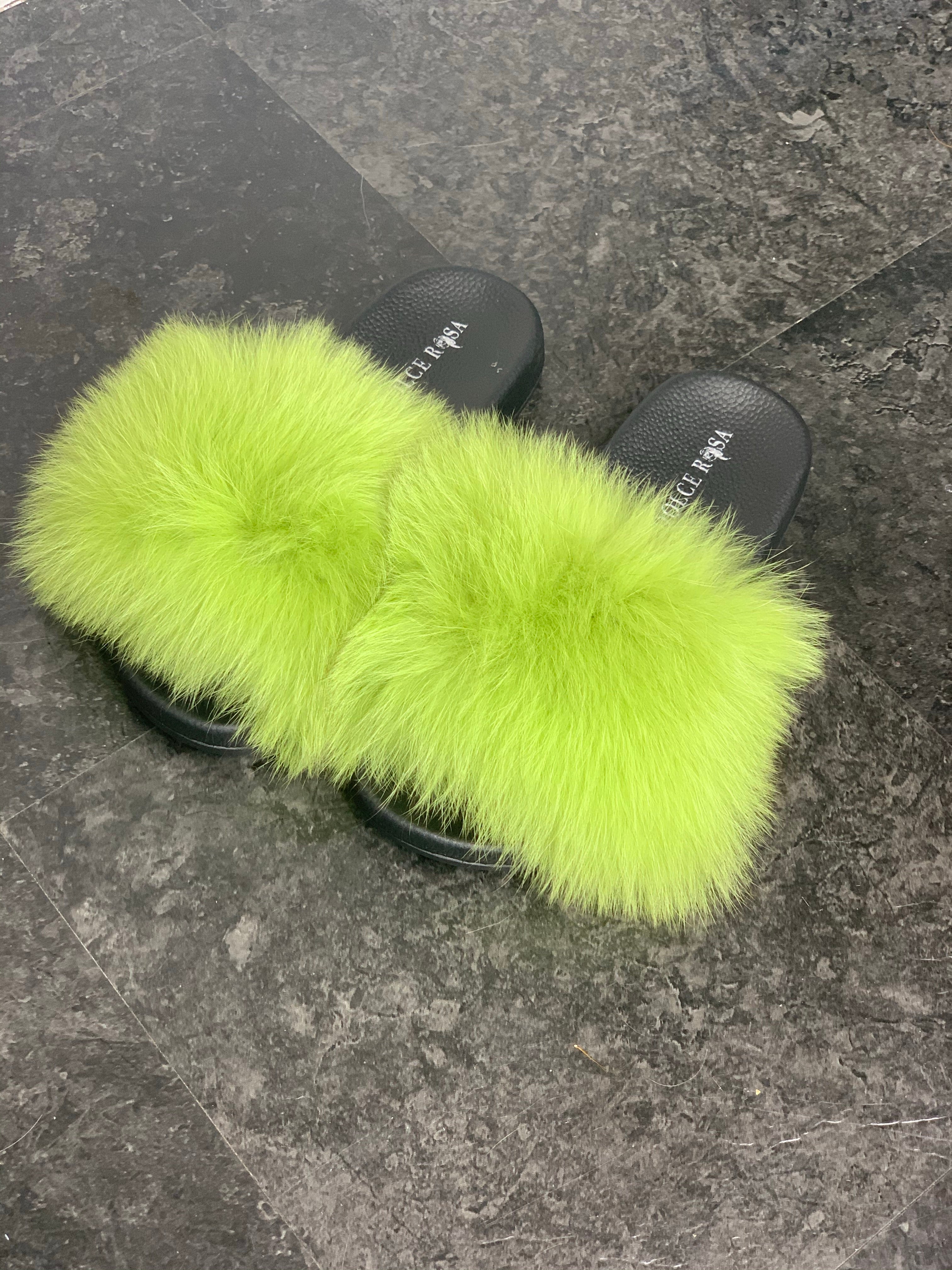 Mommy and Me slides- Envy Zinna