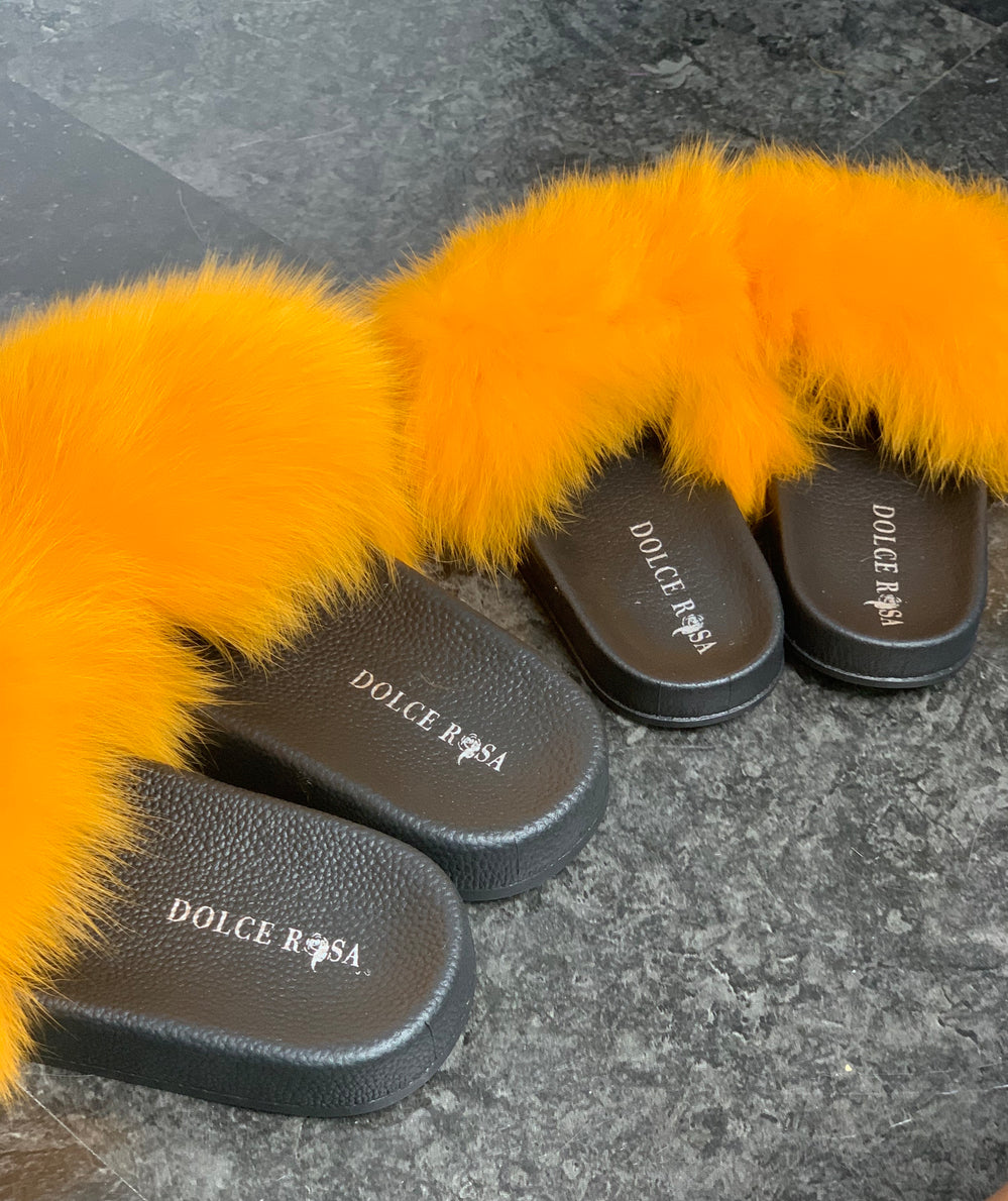 Mommy and Me slides- Cosmos